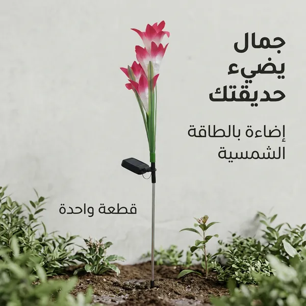 زهور زينة بالطاقة الشمسية تضيء - الصورة 7